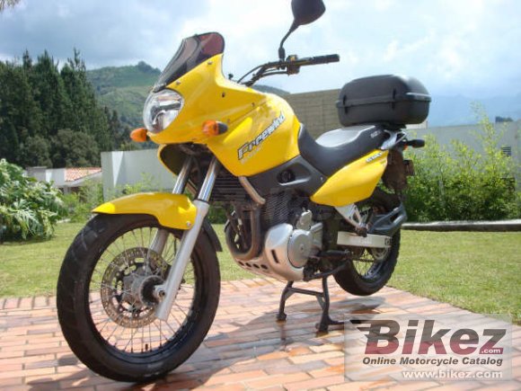 Tutor harto Ceder suzuki xf 650 freewind ficha tecnica callejón Mula ...